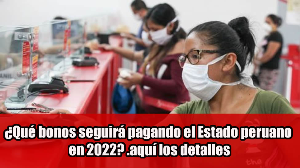 ¿Cómo se puede acceder a los subsidios del gobierno peruano?